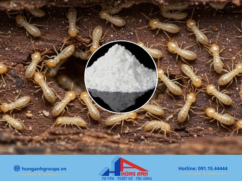 Axit Boric làm mất nước và phá hủy hệ thần kinh của mối, nhưng cần thao tác cẩn thận.