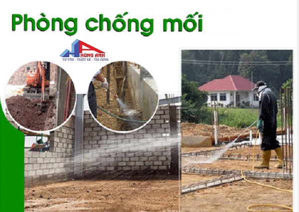 phòng chống mối