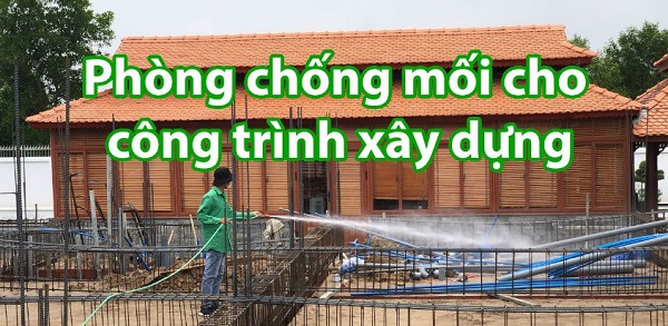 phòng chống mối mọt