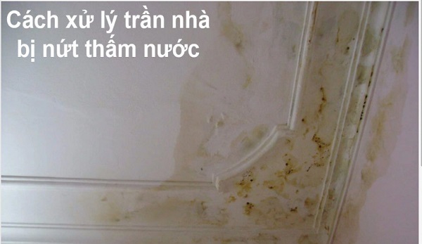 cách xử lý trần nhà bị nứt thấm nước