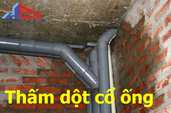 Sửa Chữa, Cải Tạo Nhà Vệ Sinh Uy Tín - Giá Tốt Tại Hà Nội nhà vệ sinh bị thấm dột