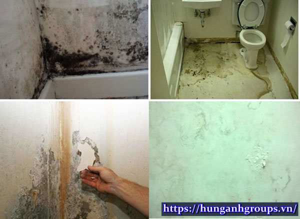 nhà vệ sinh bị thấm dột