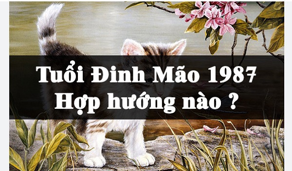 hướng nhà tuổi đinh mão