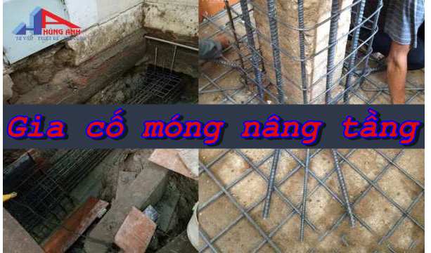 gia co mong nang tang 1