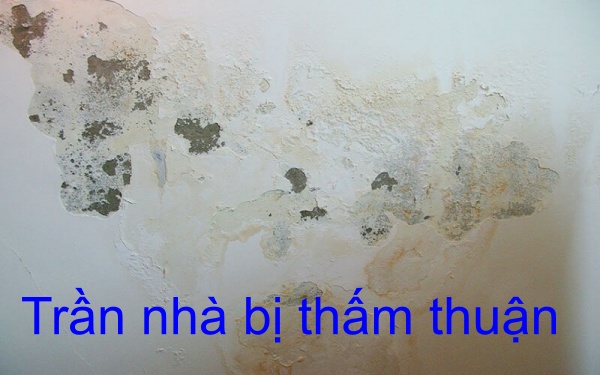 Trần nhà bị thấm dột